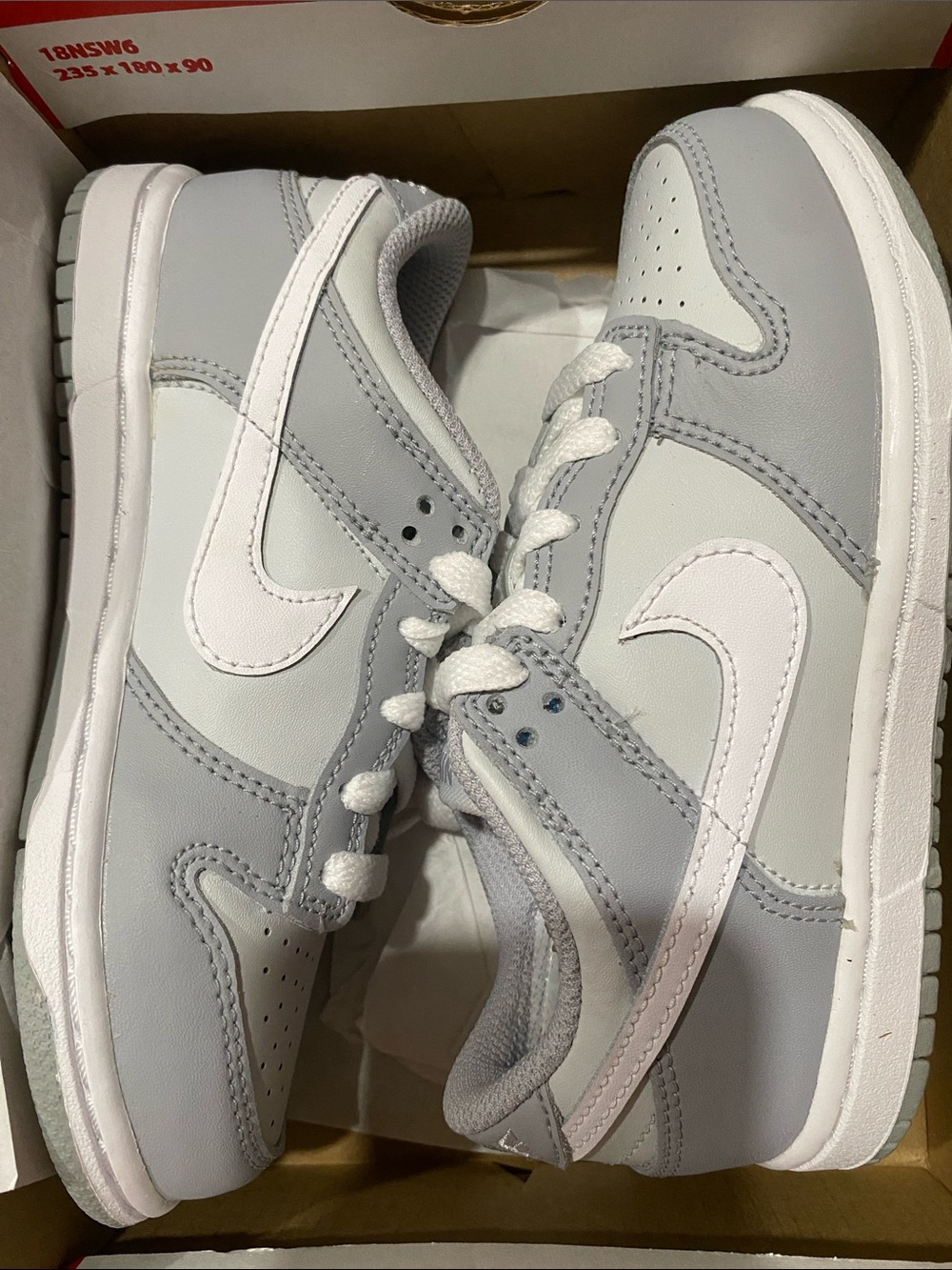 Nike Dunk Low